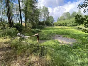 Prodej louky, Trhové Sviny - Otěvěk, 10951 m2