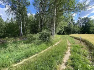Prodej louky, Trhové Sviny - Otěvěk, 10951 m2