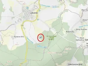 Prodej lesa, Lukavec, 1766 m2