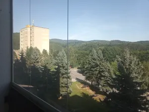 Prodej bytu 2+1, Velké Hamry, 53 m2