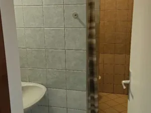 Pronájem bytu 1+kk, Mrsklesy, 21 m2