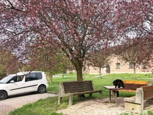 Pronájem bytu 1+kk, Mrsklesy, 21 m2