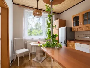 Pronájem bytu 1+1, Liberec, Haškova, 41 m2