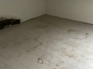 Prodej rodinného domu, Rosice, U Sýpky, 345 m2