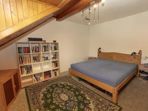 Prodej vícegeneračního domu, Duchcov, Tyršova, 320 m2