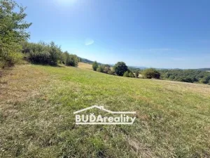 Prodej louky, Bratřejov, 3374 m2