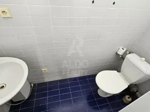 Prodej obchodního prostoru, České Budějovice, Větrná, 63 m2