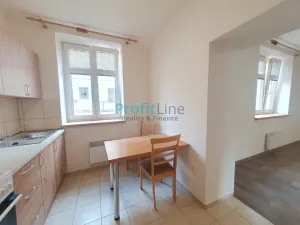 Pronájem bytu 2+kk, Sudkov, 67 m2
