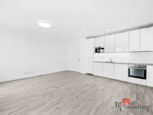 Prodej bytu 1+kk, Plzeň - Jižní Předměstí, Železná, 46 m2