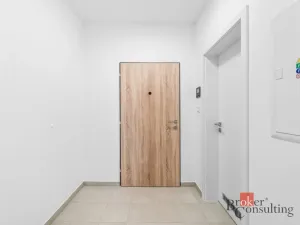 Prodej bytu 1+kk, Plzeň - Jižní Předměstí, Železná, 46 m2