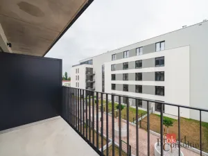 Prodej bytu 1+kk, Plzeň - Jižní Předměstí, Železná, 46 m2