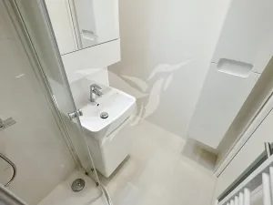 Prodej bytu 1+kk, Plzeň, Hodonínská, 31 m2
