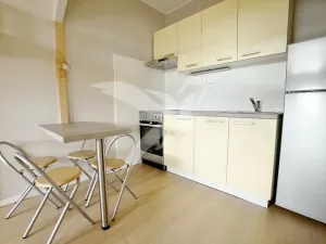 Prodej bytu 1+kk, Plzeň, Hodonínská, 31 m2