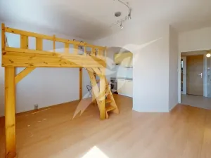 Prodej bytu 1+kk, Plzeň, Hodonínská, 31 m2