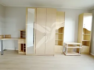 Prodej bytu 1+kk, Plzeň, Hodonínská, 31 m2