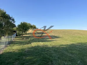 Prodej louky, Lešná, 2325 m2