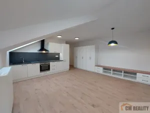 Pronájem bytu 1+kk, Olomouc - Hodolany, Holická, 38 m2