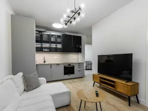 Prodej bytu 2+kk, Praha - Žižkov, Kaplířova, 45 m2