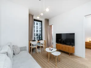 Prodej bytu 2+kk, Praha - Žižkov, Hartigova, 44 m2