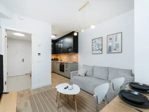Prodej bytu 2+kk, Praha - Žižkov, Hartigova, 44 m2
