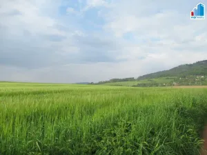 Prodej pole, Sušice, Hrádecká, 10640 m2