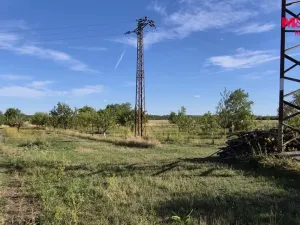 Prodej zahrady, Mikulčice - Těšice, 636 m2