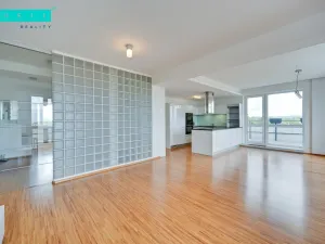 Pronájem bytu 4+kk, Olomouc - Nová Ulice, Mošnerova, 111 m2