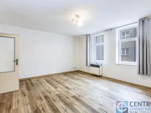 Prodej bytu 1+1, Mladá Boleslav - Mladá Boleslav III, S. K. Neumanna, 46 m2