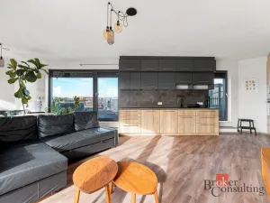 Pronájem bytu 2+kk, Plzeň - Východní Předměstí, Papírnická, 63 m2