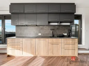 Pronájem bytu 2+kk, Plzeň - Východní Předměstí, Papírnická, 63 m2