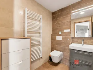 Pronájem bytu 2+kk, Plzeň - Východní Předměstí, Papírnická, 63 m2