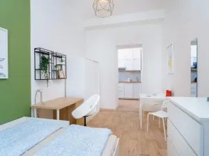 Pronájem bytu 1+kk, Praha - Nové Město, Ječná, 30 m2