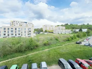 Prodej bytu 2+1, Brno, Došlíkova, 52 m2