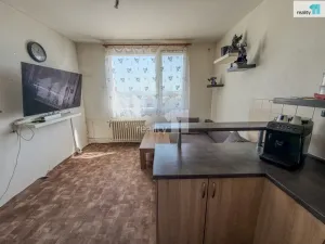 Prodej bytu 1+1, Plzeň - Bolevec, Gerská, 39 m2