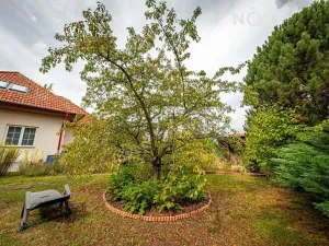 Prodej rodinného domu, Horní Jelení, Dvorská, 160 m2