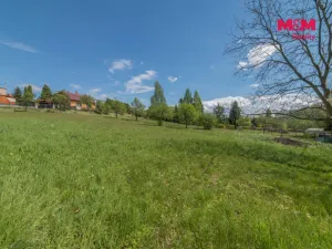 Prodej pozemku pro bydlení, Petrovice u Karviné - Prstná, 5325 m2