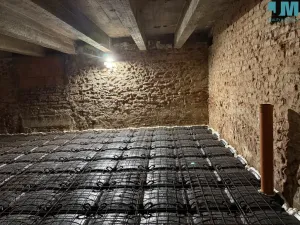 Prodej bytu 2+kk, Býchory, 60 m2