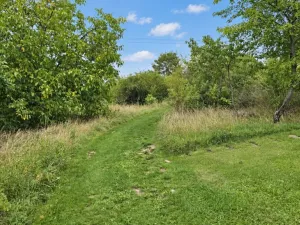 Prodej louky, Nový Jáchymov, 4579 m2