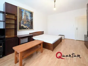 Pronájem bytu 1+1, Praha - Hradčany, Tychonova, 46 m2