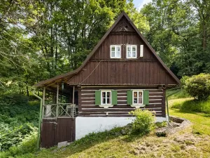 Prodej chalupy, Zlatá Olešnice, 112 m2