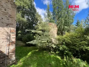 Prodej rybníku, Kostelec nad Černými lesy - Kostelec nad Černými Lesy, 16025 m2