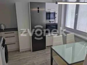 Pronájem bytu 2+1, Staré Město, Kopánky, 55 m2