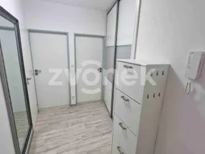 Pronájem bytu 2+1, Staré Město, Kopánky, 55 m2