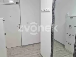 Pronájem bytu 2+1, Staré Město, Kopánky, 55 m2