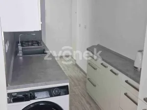 Pronájem bytu 2+1, Staré Město, Kopánky, 55 m2