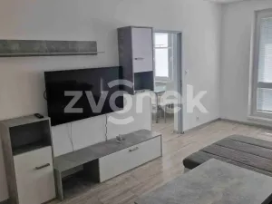 Pronájem bytu 2+1, Staré Město, Kopánky, 55 m2