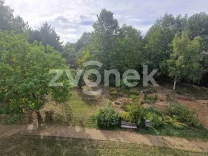 Pronájem bytu 2+1, Staré Město, Kopánky, 55 m2