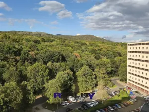 Prodej bytu 1+kk, Litvínov, 26 m2