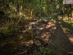 Prodej chaty, Zlončice, 16 m2