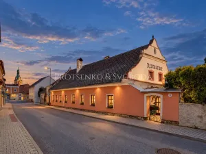 Prodej činžovního domu, Lhenice, Krumlovská, 535 m2